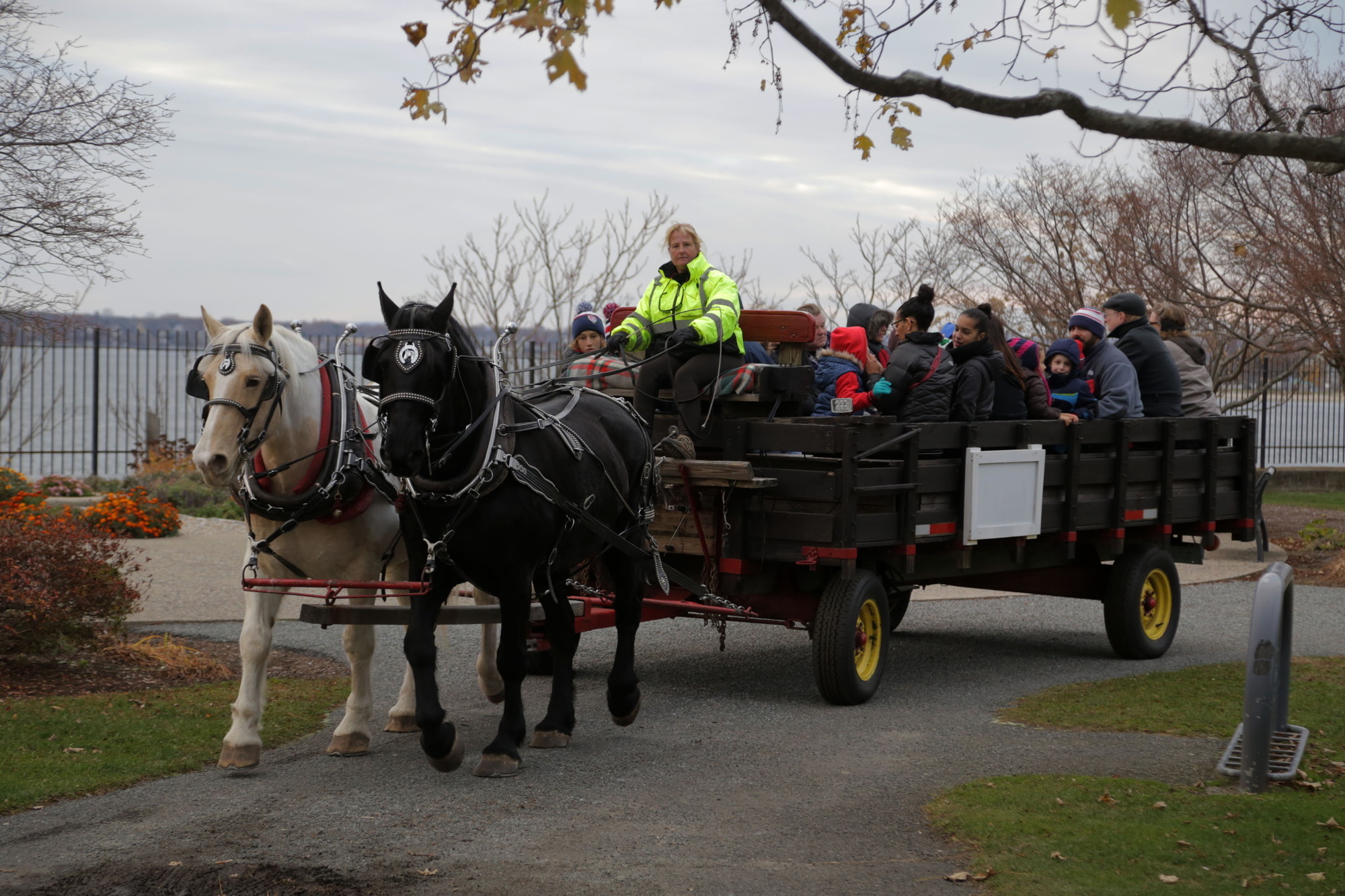 The holiday horse drawn carriage rounds a corner inside Crescent Park with a full group of passengers.