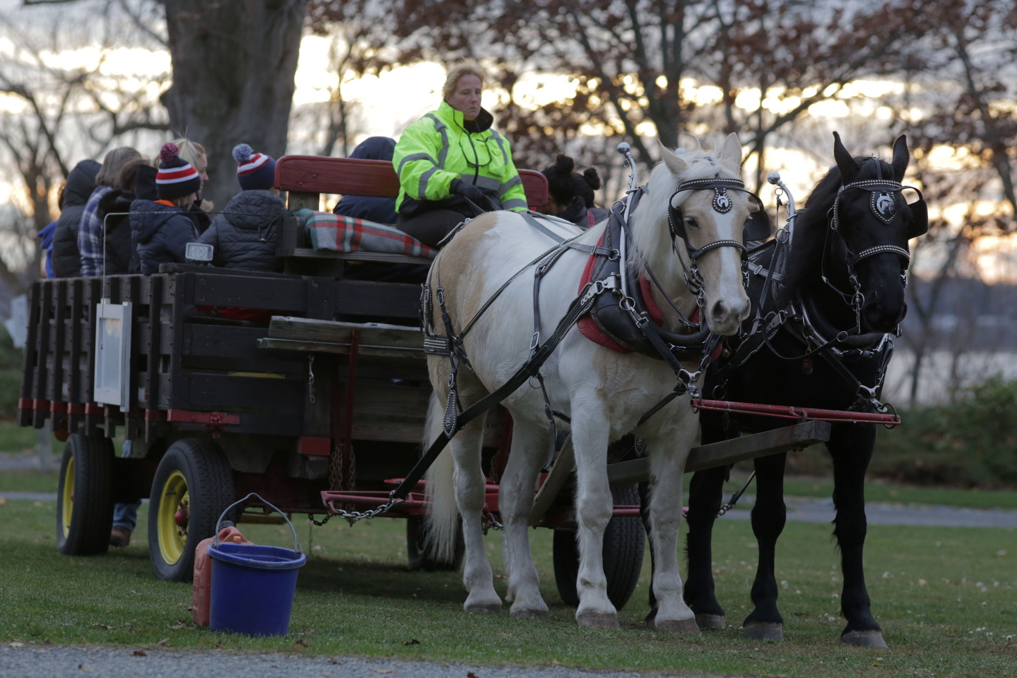 The holiday horse drawn carriage pulls away from Crescent Park with a full group of passengers.