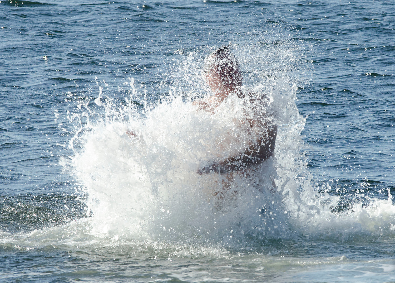 He burst into the air after fully submerging himself in the icy water.